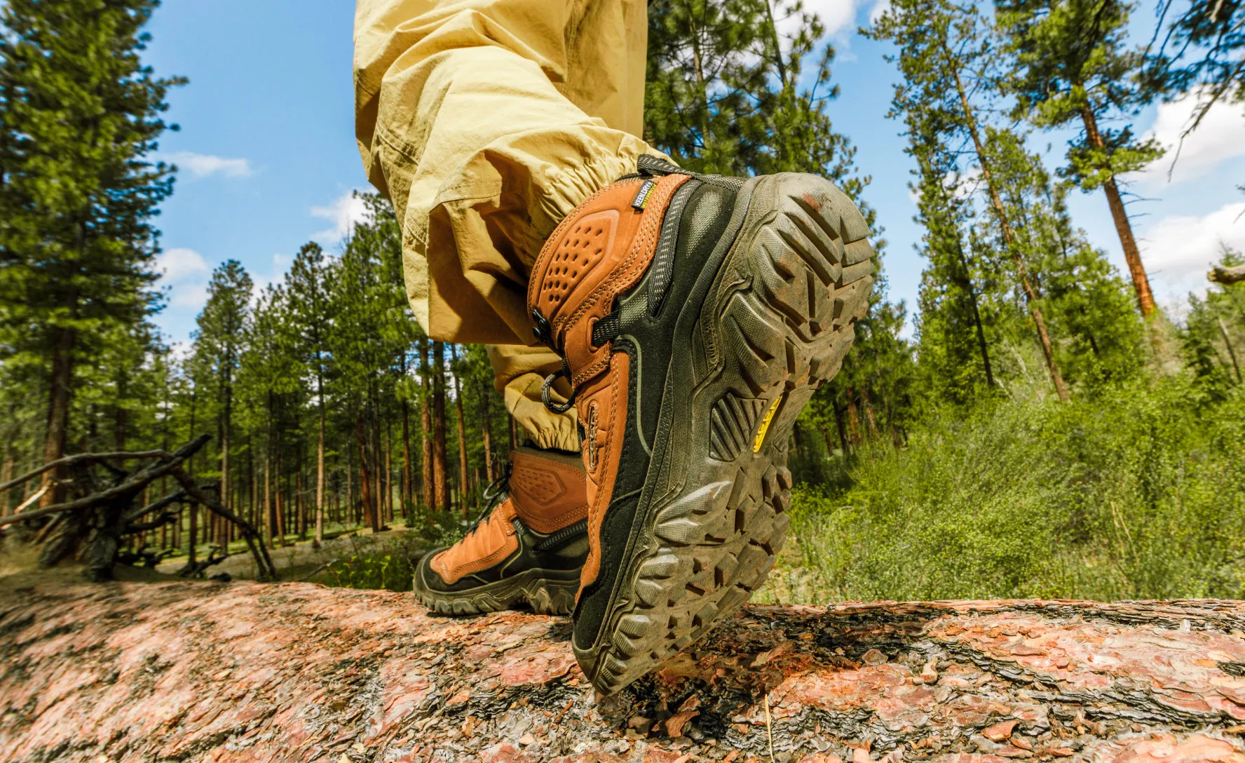 Men's Targhee IV Waterproof Hiking Boot  |  Dark Olive/Gold Flame